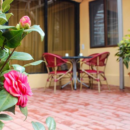 Lasha Apartment 트빌리시 외부 사진